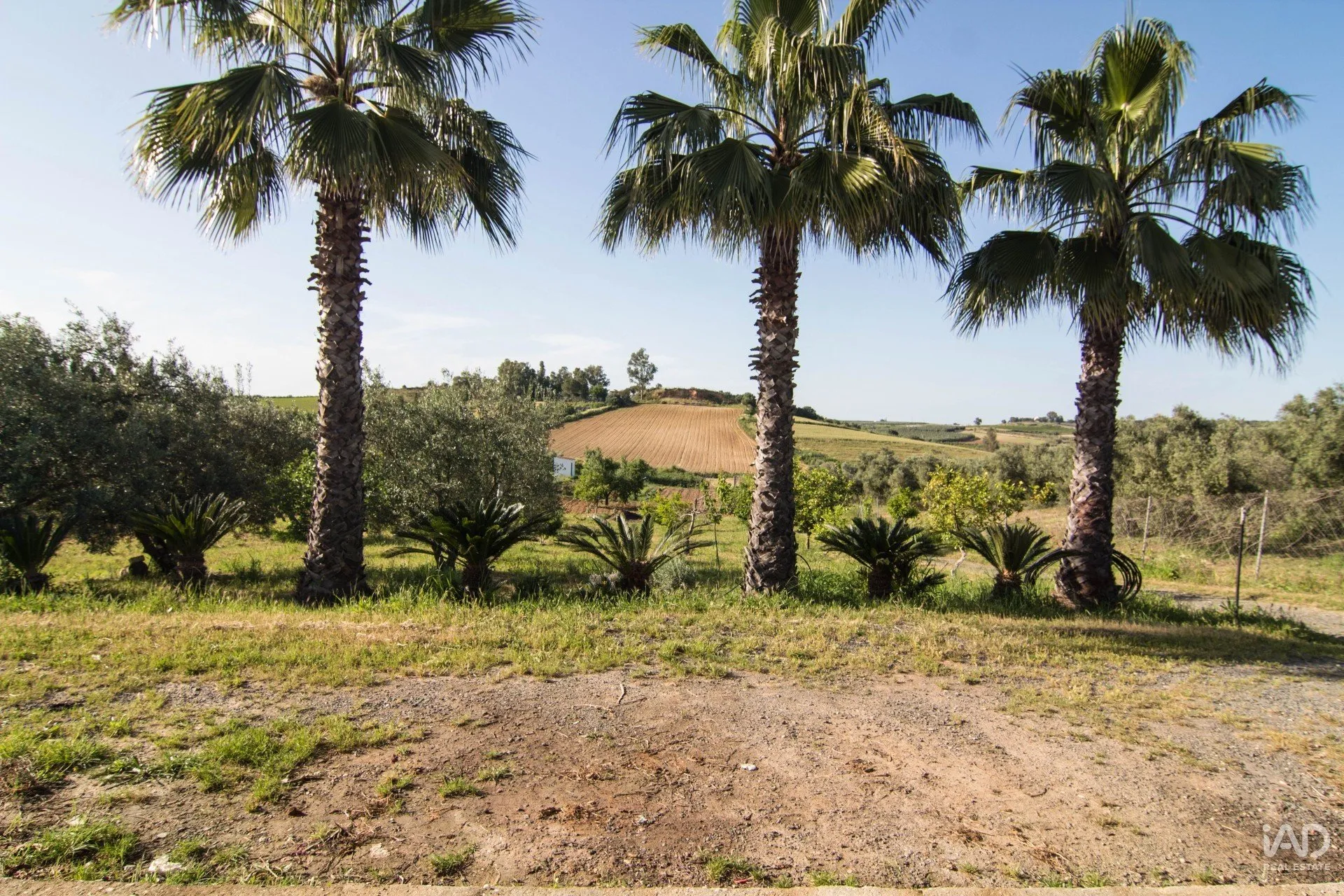 pry1hny1FDkLuMfpUgUKNbOQfthAbUZ4WpZG2dZS