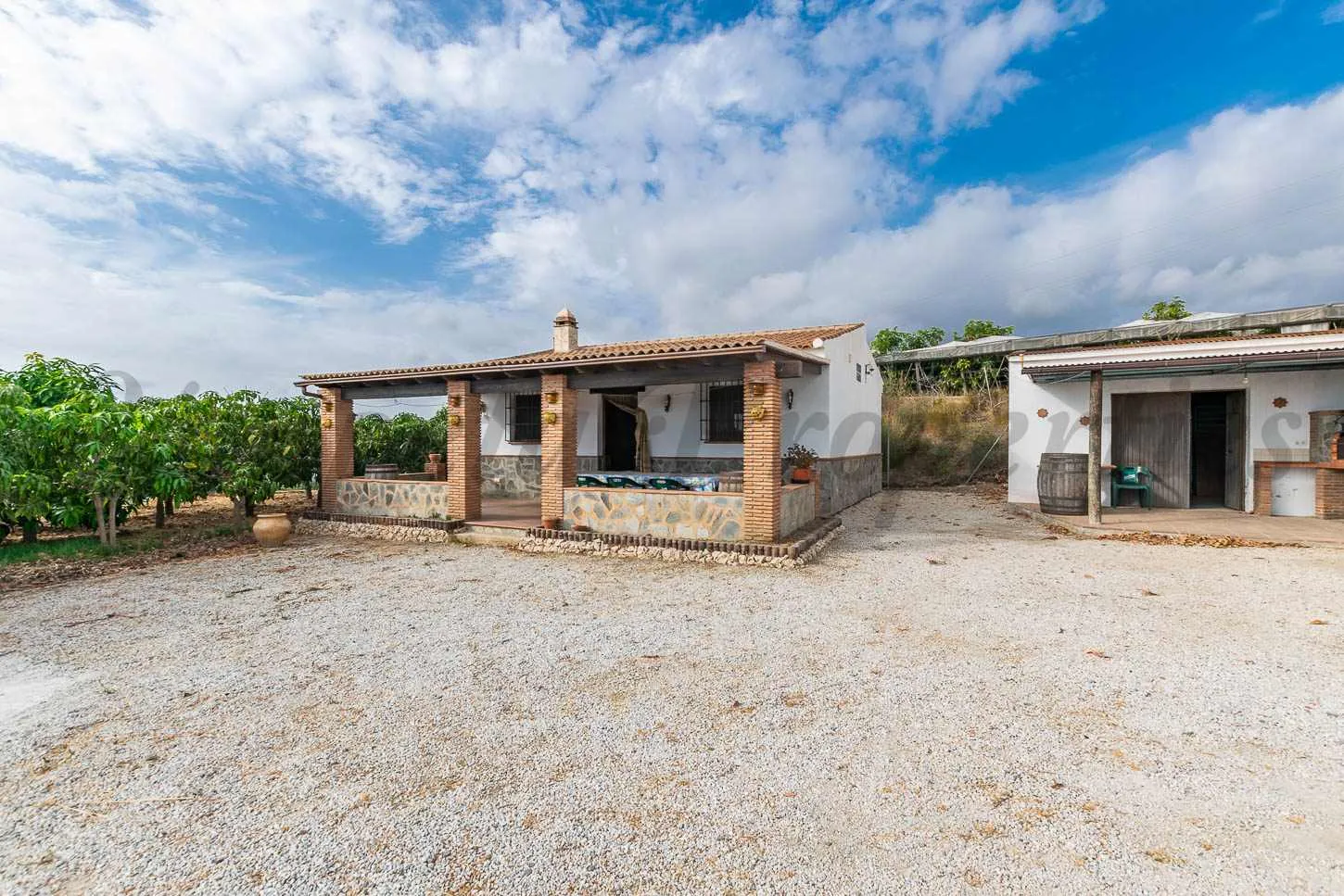 pkgreecTMvA2Lb8FRJN7Zp42jqLq0lB5OAwZVWFY