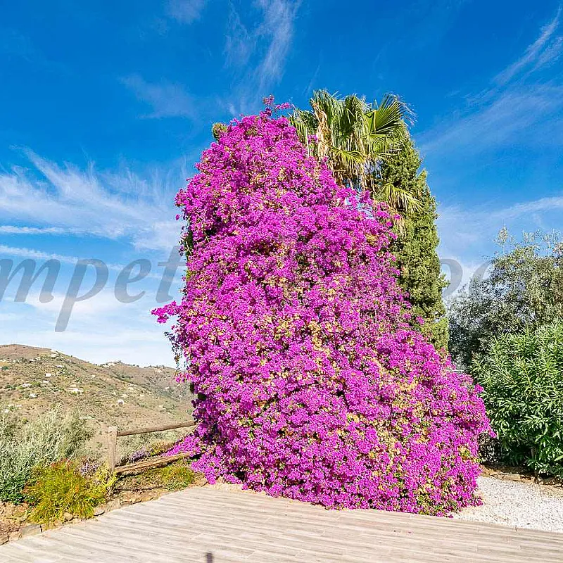 0fkVkOCjFRHvAJgjdiGGFd5OzLfS2XwjARc9Inx9