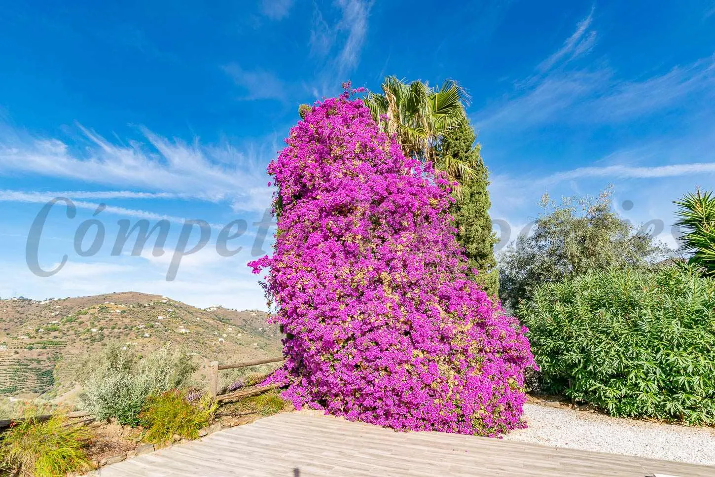 0fkVkOCjFRHvAJgjdiGGFd5OzLfS2XwjARc9Inx9