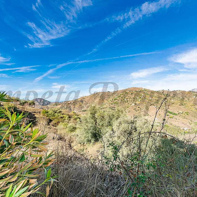 mxI7vLeRBTDTOv4RyHeKuUx3bJOTujY4F3Ztf43t