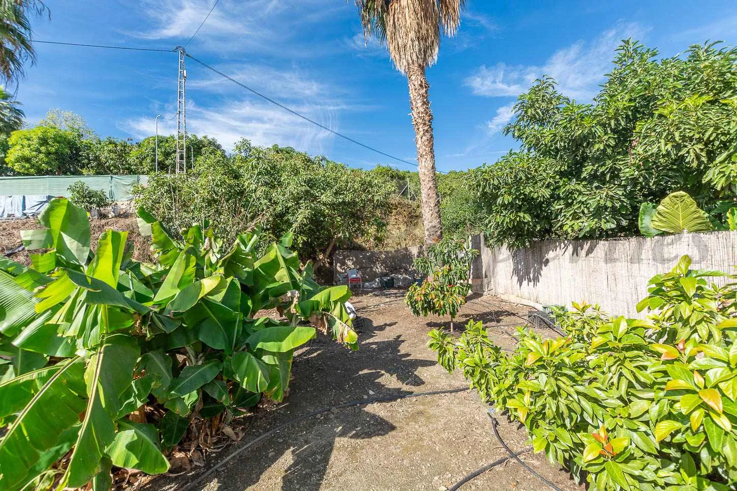 5URckwd4JsmFLBY4sdrNlZLQ7lp0jCbTPMwZsUVE