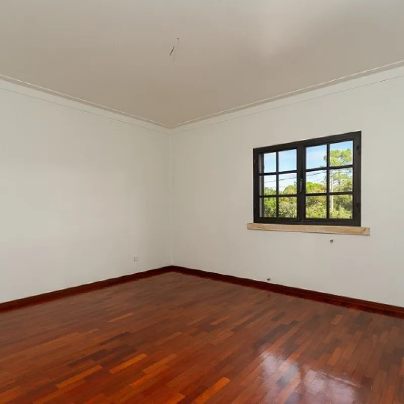 puQW36SdX3Wali6hkwJ924iSVubhyisTfZeSOaDf