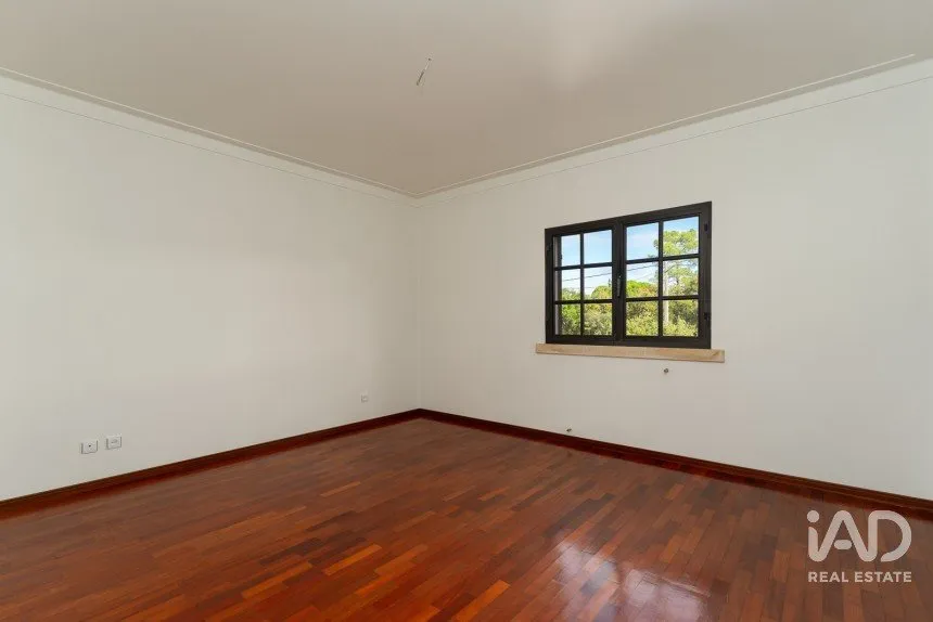 puQW36SdX3Wali6hkwJ924iSVubhyisTfZeSOaDf