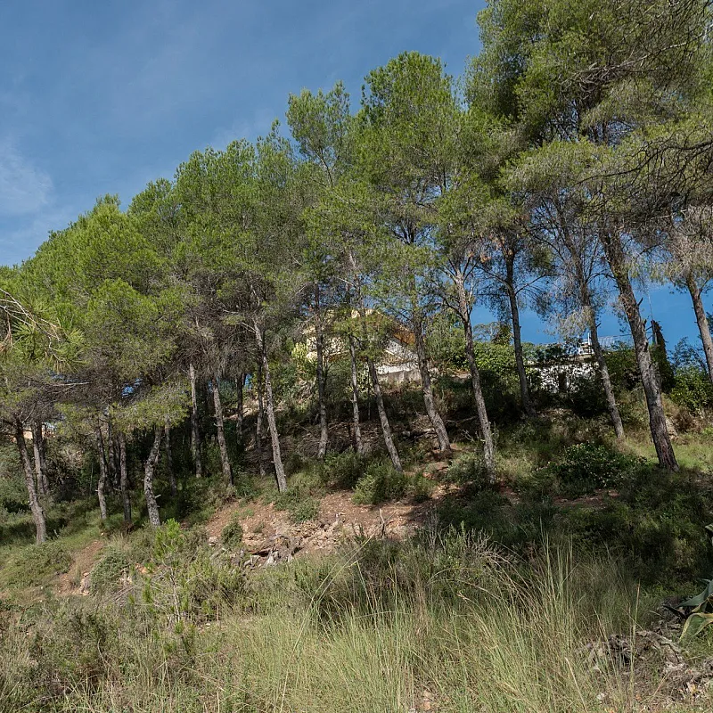 Pnw04antRTaw29x5e85R1jy8mUWrFm3dzPdgvuoc