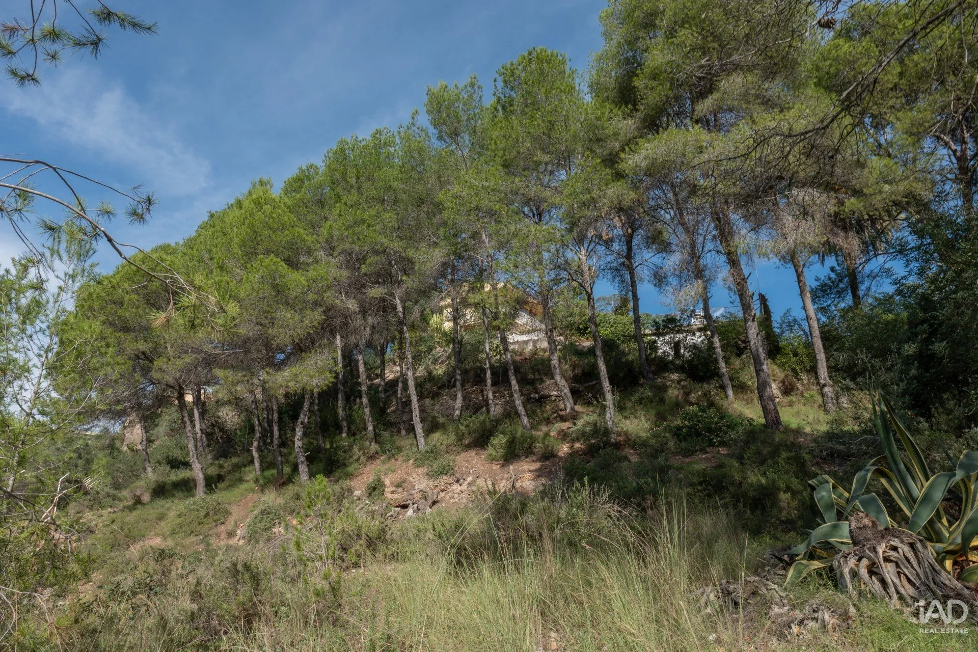 Pnw04antRTaw29x5e85R1jy8mUWrFm3dzPdgvuoc