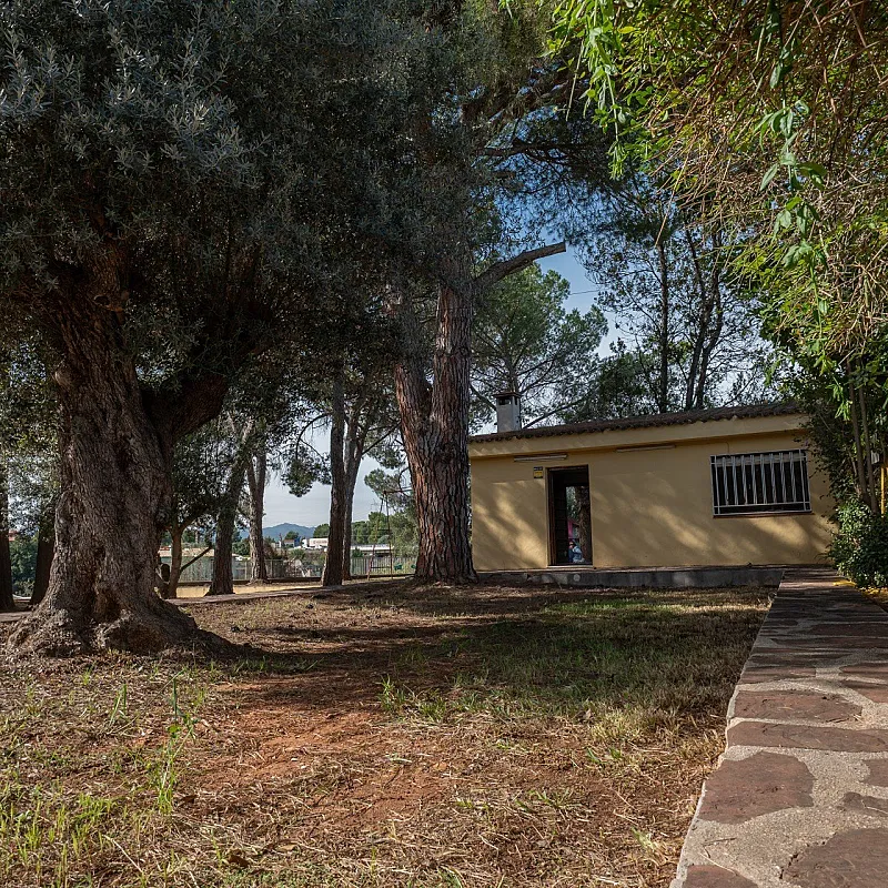 GwCbwOv2vtwaCjEXOMRbL9LPrMDJSh9DnXFwBf6r