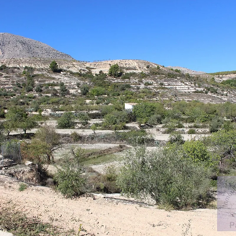 IEQ4vsifZWZuzmsmcA2mWufZof6qpbuuLVuVuR10