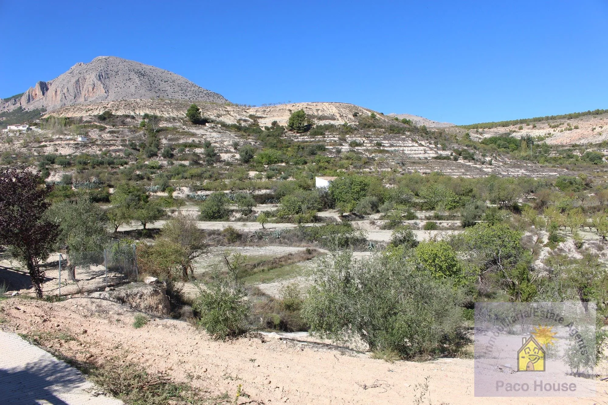 IEQ4vsifZWZuzmsmcA2mWufZof6qpbuuLVuVuR10