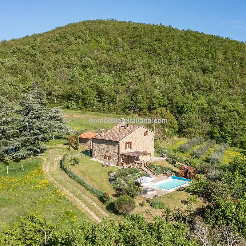 xJD0FNik7gAsQLqxUg38PfKju1CGWeeyrR7HdS3v