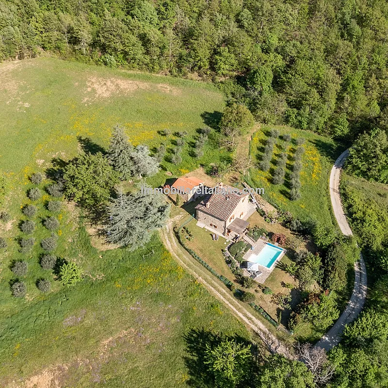 nFY7zx7woBBmg4SeZ7UJF31q2OMCfZoagDJSGq0x