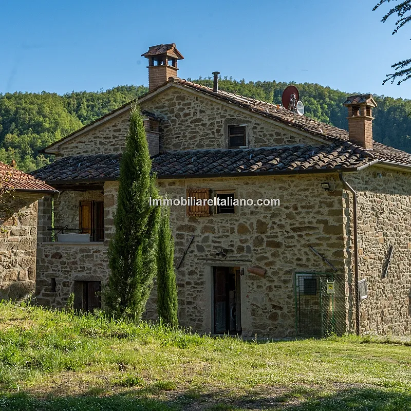 f6UInRhbMBeSO7XwnEjPdlp3NHR5TMhXMF1YucK2