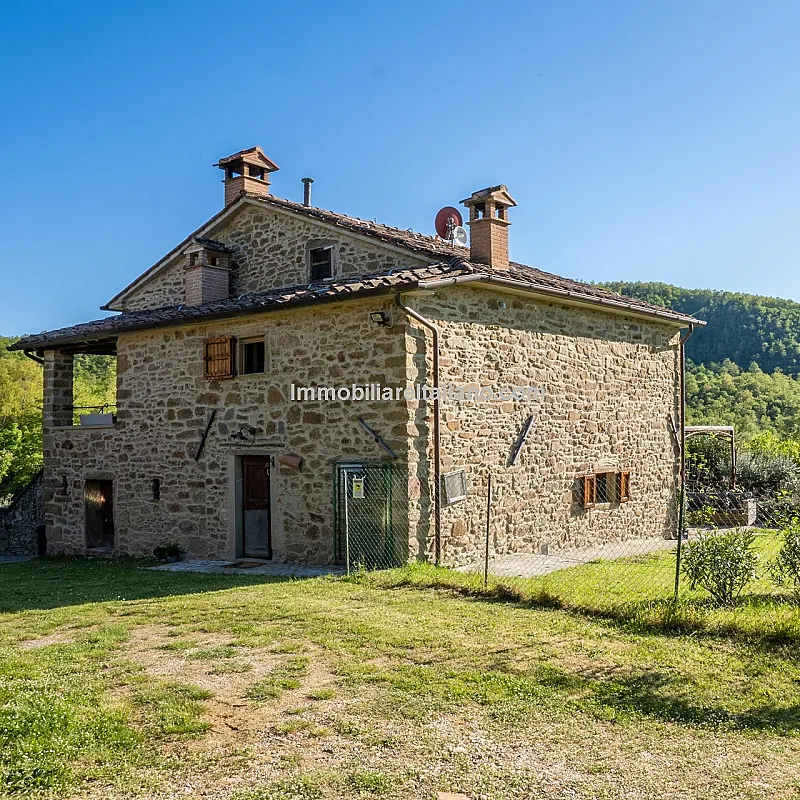 ftc86sQTtmoB3VIHNmlfsusuHMTly0PUXUKSlUAJ