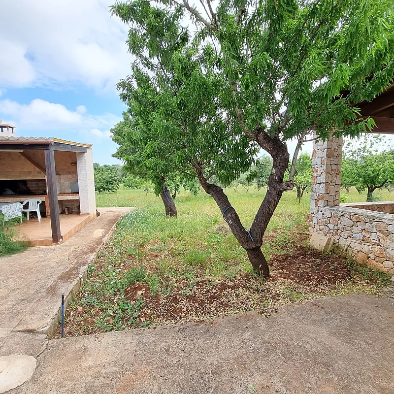 XqOVRtc0pCjDxhxdHO1WYKuwextY4wsdiYppm4iD