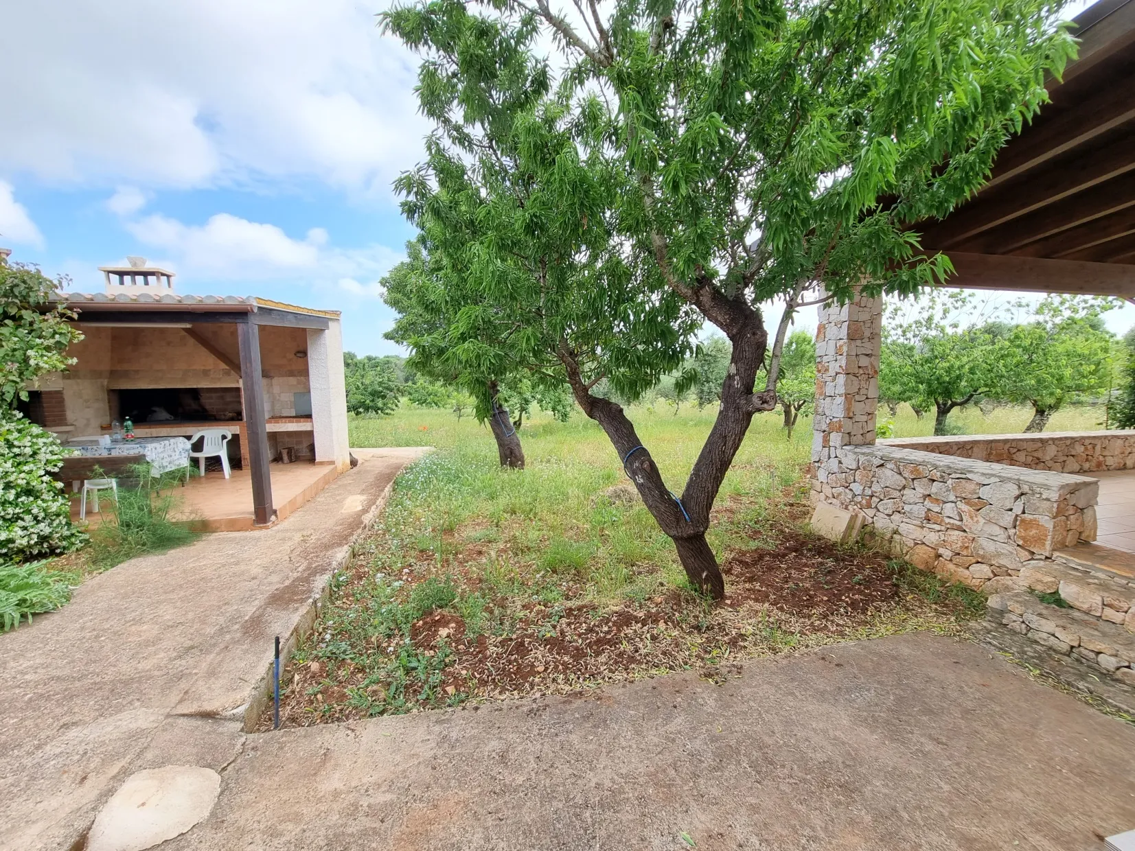 XqOVRtc0pCjDxhxdHO1WYKuwextY4wsdiYppm4iD