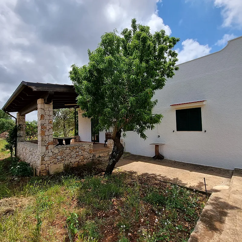 PddtSHtjhaw65BkCqVJhT23jFcBltzUXgD8wKd2g