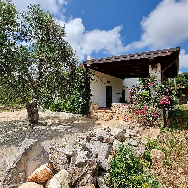 bsHagzd4t8oOBJ2iZw3eJI8zsWpZwL2Bb5Rr19MQ