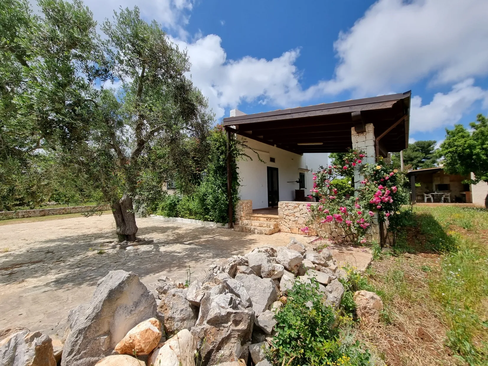 bsHagzd4t8oOBJ2iZw3eJI8zsWpZwL2Bb5Rr19MQ