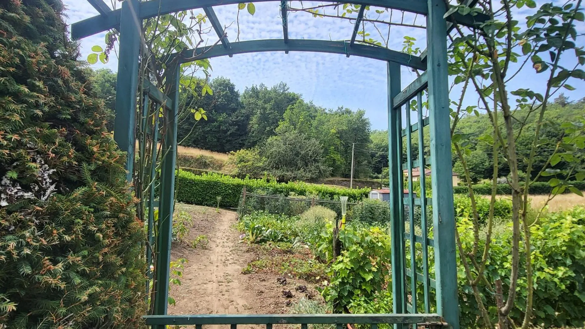 jFFeJiHjsHI6M9zbtrjah4P0lOl2ZKDwO5hA2Tdg