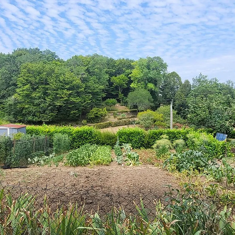 fGmJHm5rHcDTb6HAgXklJlkOCeyANoVsjzkLvcdC