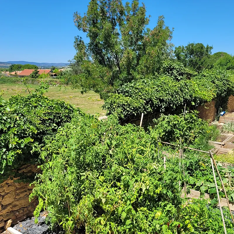 pPmd1oPflC5gOOitBPhciIBiW4wzcOJxRnLcjekS