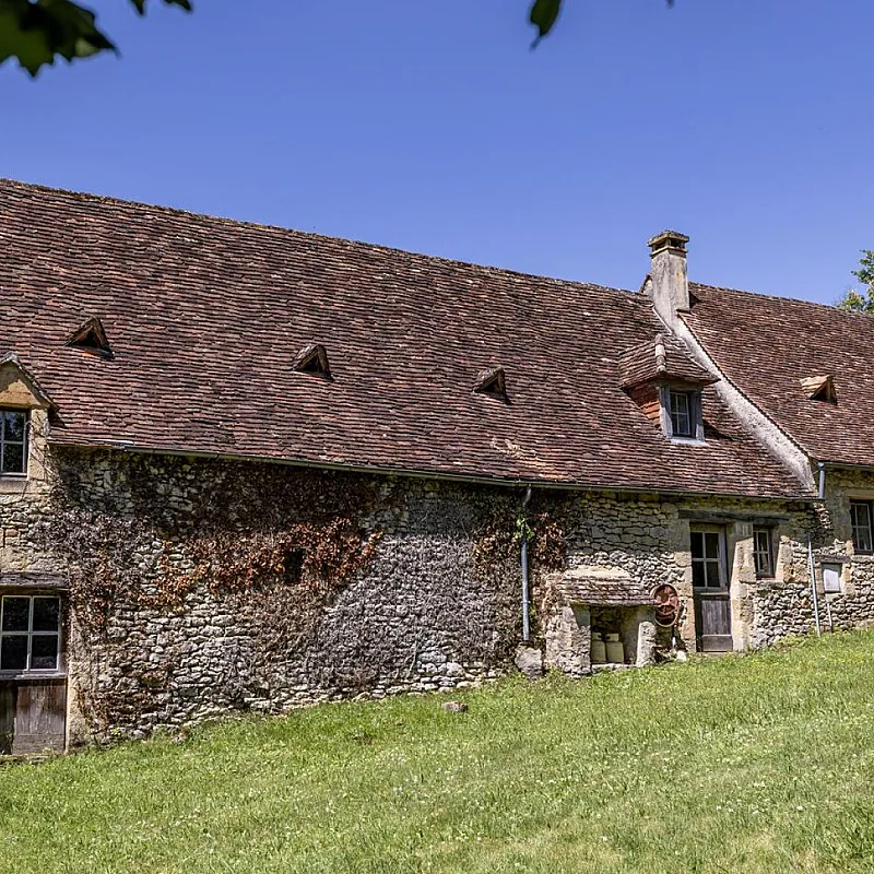 SKPfXmYaaVHdeqhePFdtN6LyhZP3Wua2XNHy3bKW