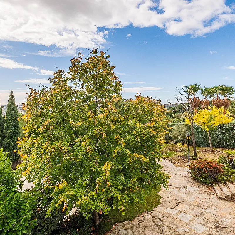 4XW4jZZjoGMmC3GSMTAD85h8JKOwKCeFZHTwc8JH