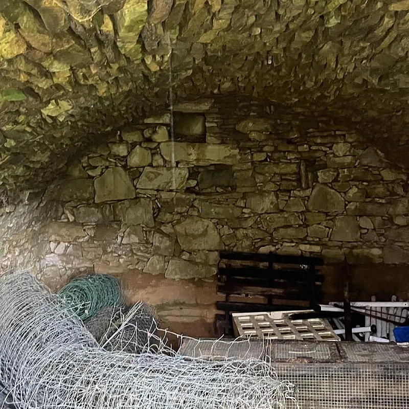 kvnyKJyk7RAKhdjML3lx9zrpQral1ZeLxywqUYHt