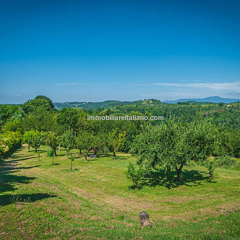 oeOsfo0EIT4NpaUgeonUopfFHv3xA1RQrUh9FivB