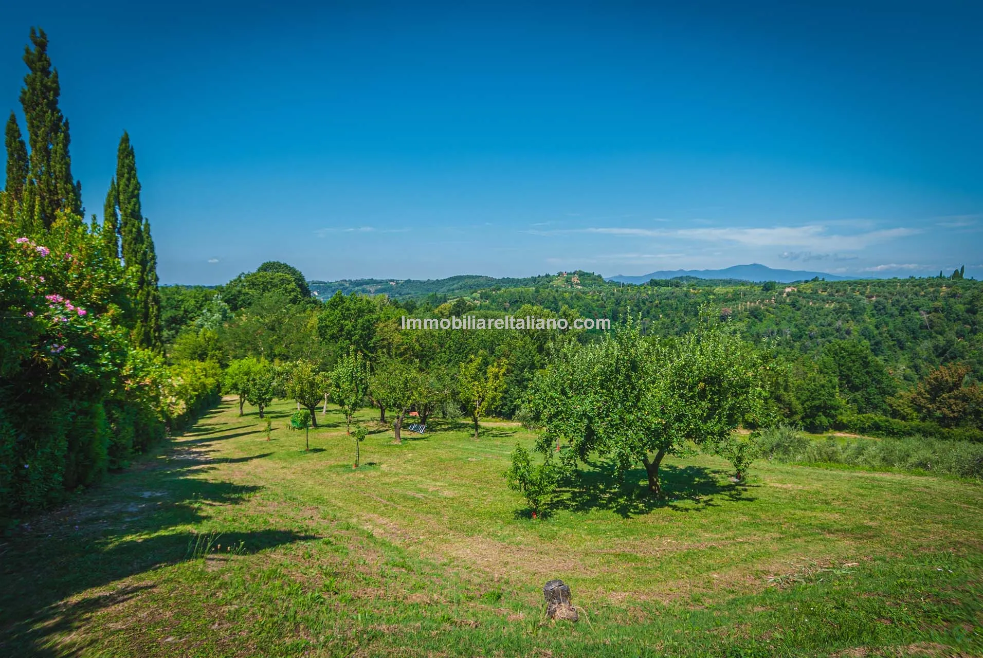 oeOsfo0EIT4NpaUgeonUopfFHv3xA1RQrUh9FivB