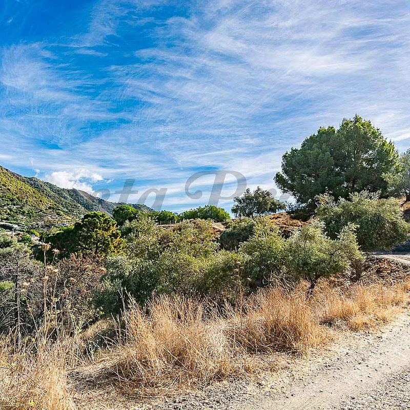 BIIRBn1Hqh4efbhbzWoTeyFgFbr8fReLSalZn1g6