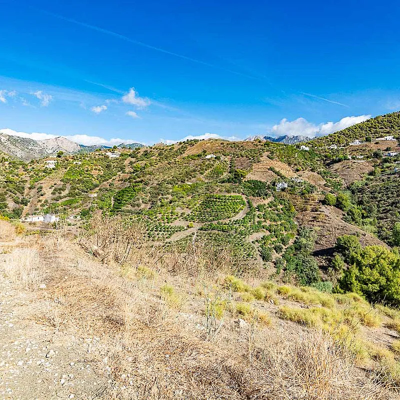 pXCW886TQQ2G86hpLtiLLiF6RkGU2KWAyXFufMKE