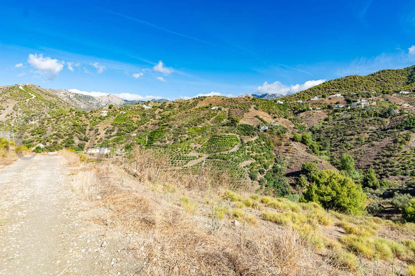 pXCW886TQQ2G86hpLtiLLiF6RkGU2KWAyXFufMKE