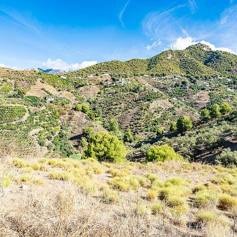 uFjTjoIBTFXMfFIyUjR5fFfS01GYl83eXCDIKvj0