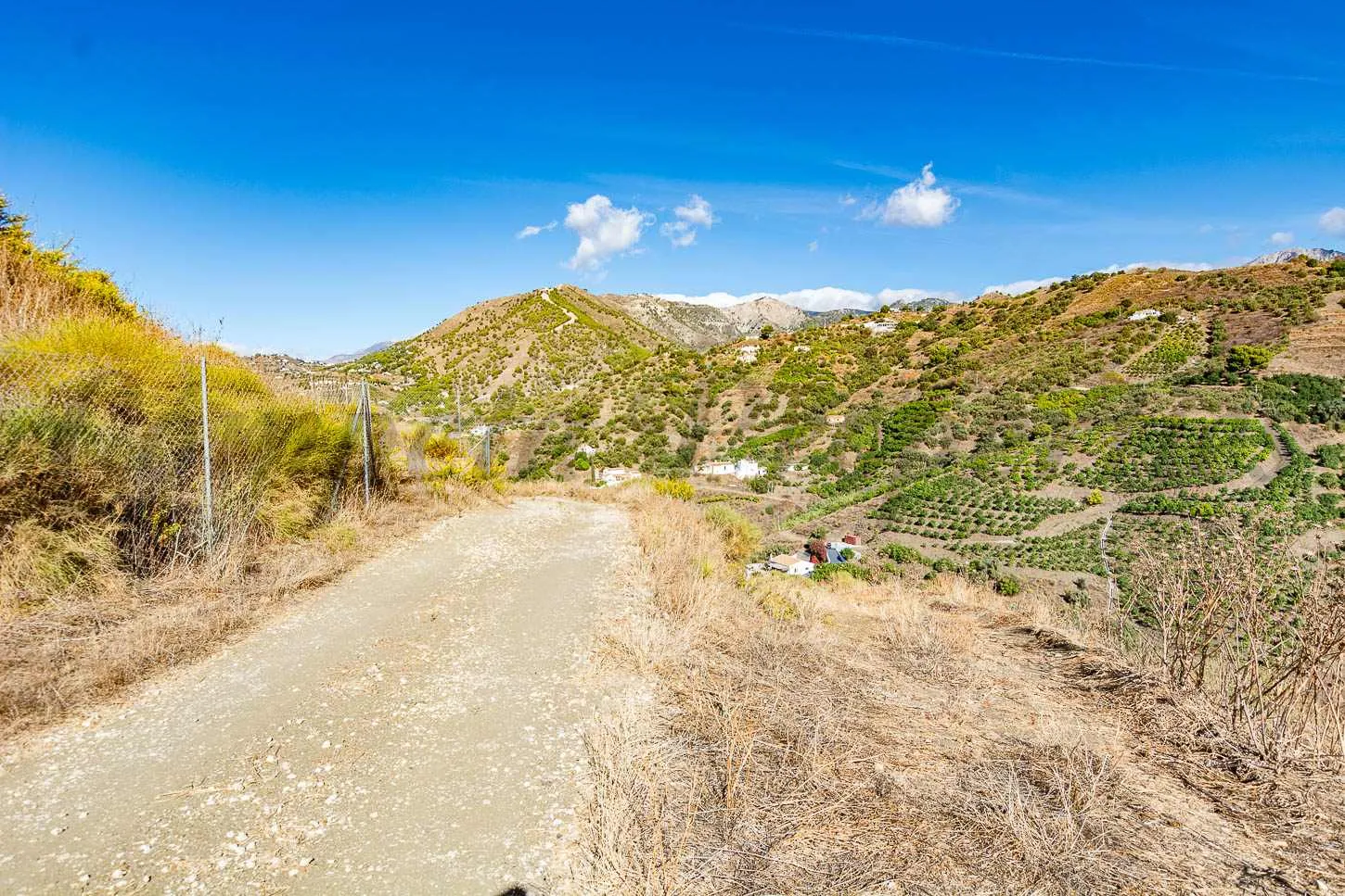 qUP5RTVf6CDYil7nbTUNYOAYKxFCBGi8pDqKQf1z