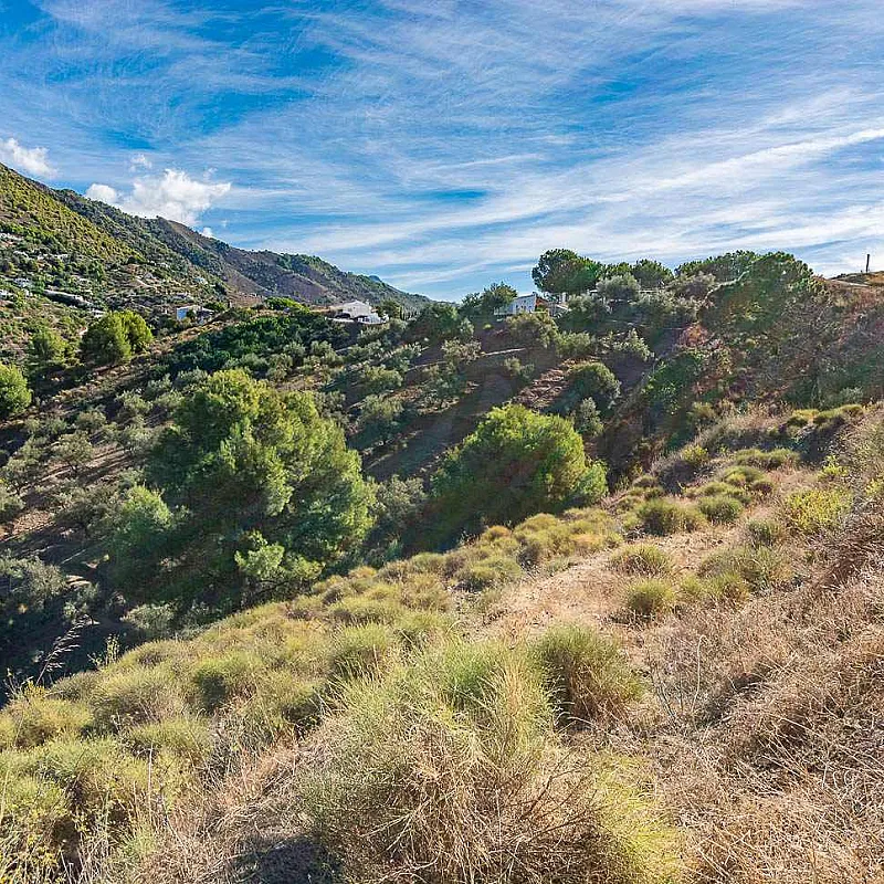 LUvpD5EmRcC0AbIENeBECGkb6XRuIPRB7wTzvTHN