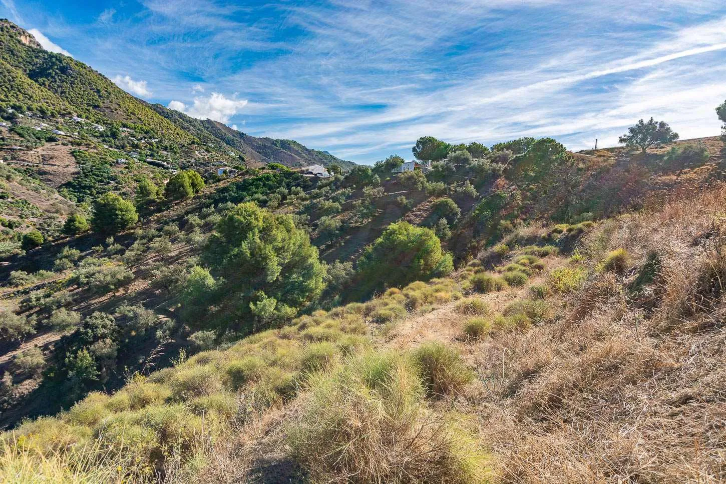 LUvpD5EmRcC0AbIENeBECGkb6XRuIPRB7wTzvTHN