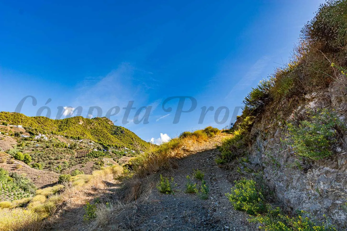 fN4etWHjDpthuRsJmhpHElJPArIp8iALa0SYhx5n