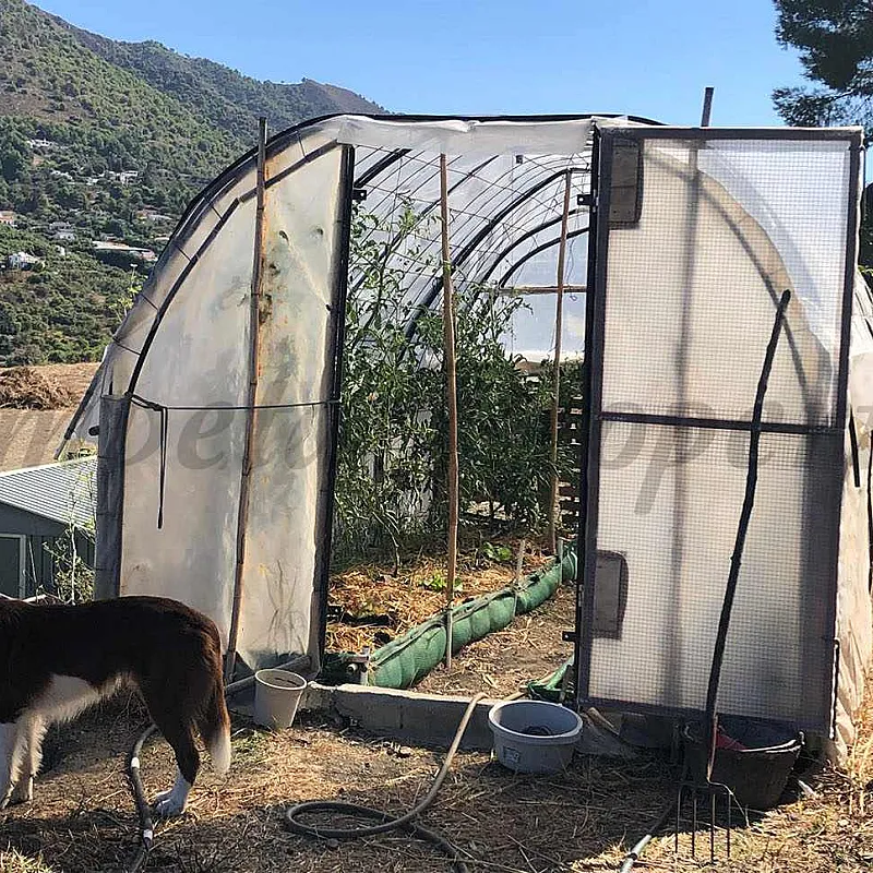 J3E7RXt0yEVzfs5IGUMKSbnFeE5gvWJjUlJ8kGi0