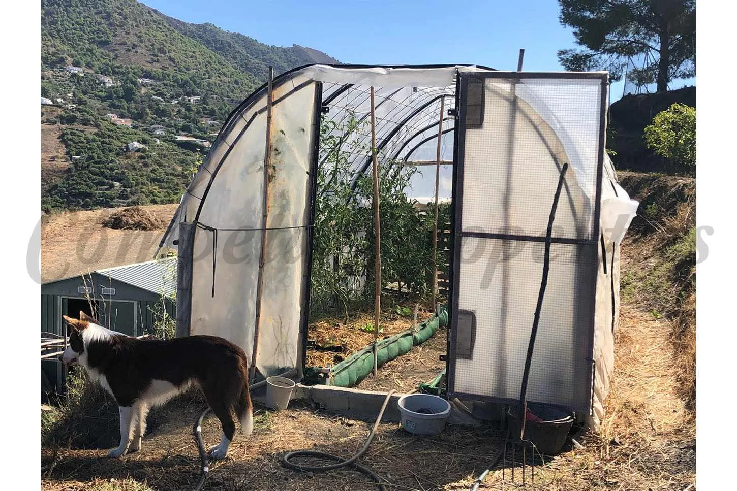 J3E7RXt0yEVzfs5IGUMKSbnFeE5gvWJjUlJ8kGi0