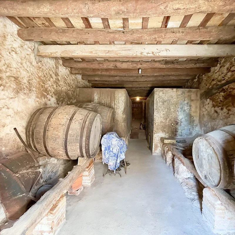 4unoWinSG37XHnfHBpTajjJLJYsuN8htGf3cXR2g