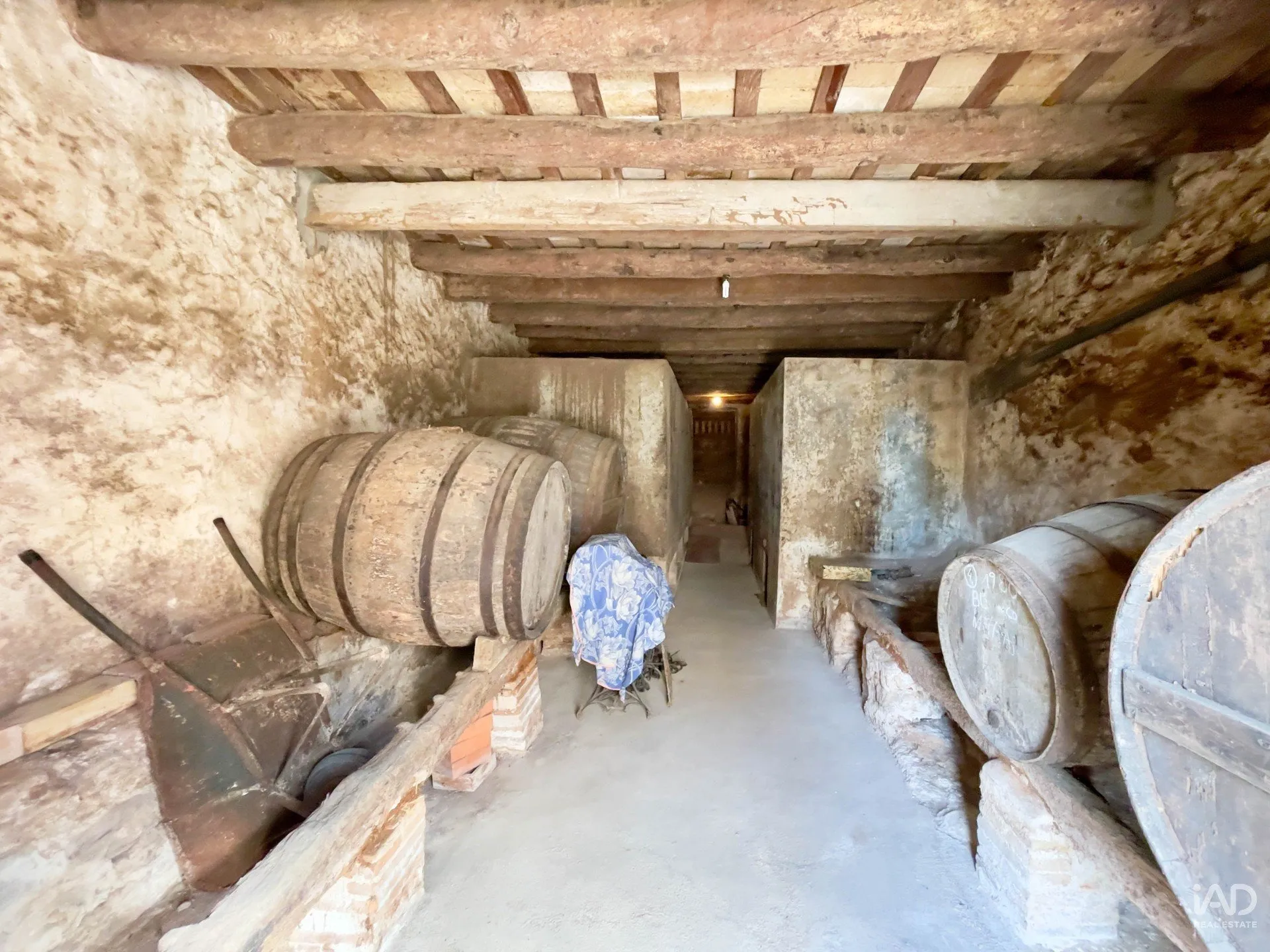 4unoWinSG37XHnfHBpTajjJLJYsuN8htGf3cXR2g