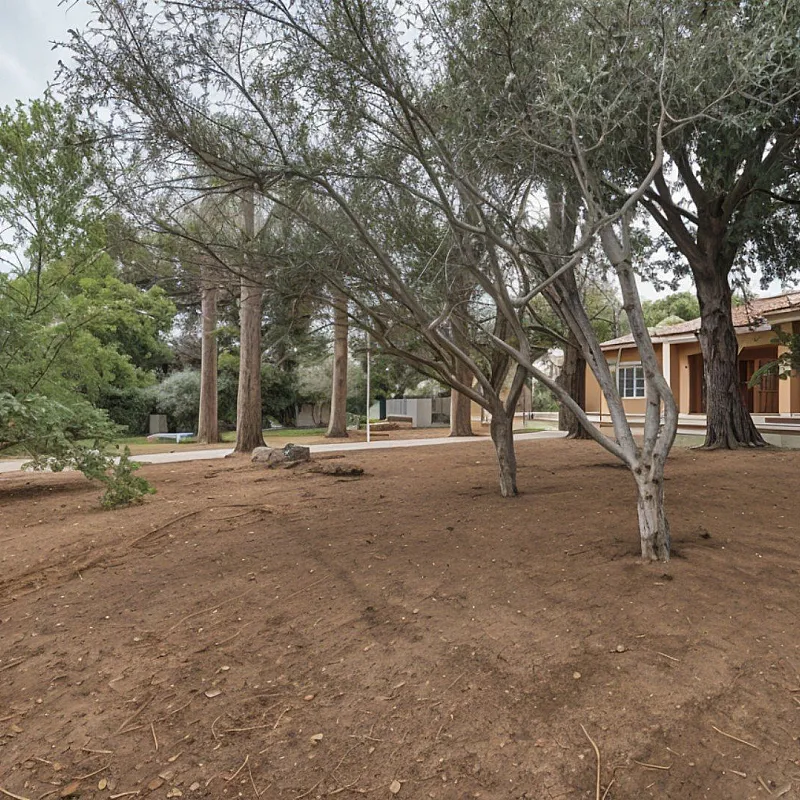 a44BbeNarDCr4vGgZnRFX4CP1DSBKBto32IigyvE