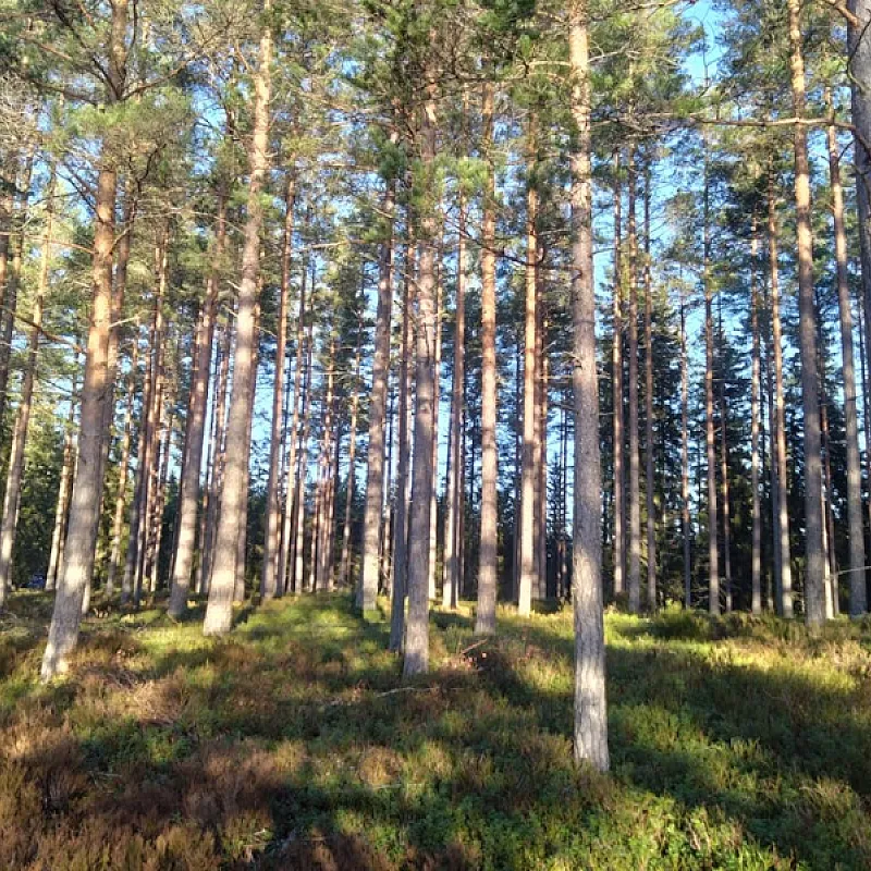 JmGMQByZfgfOc5UXewvNDyBGSHauH521FIjwuul4