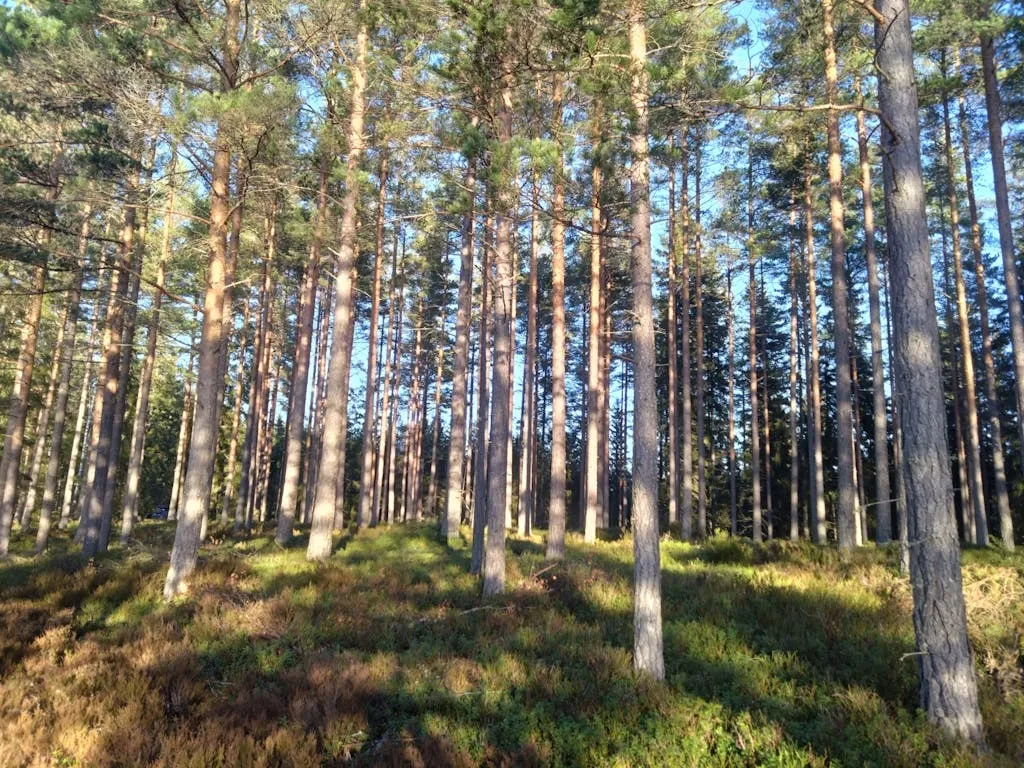 JmGMQByZfgfOc5UXewvNDyBGSHauH521FIjwuul4