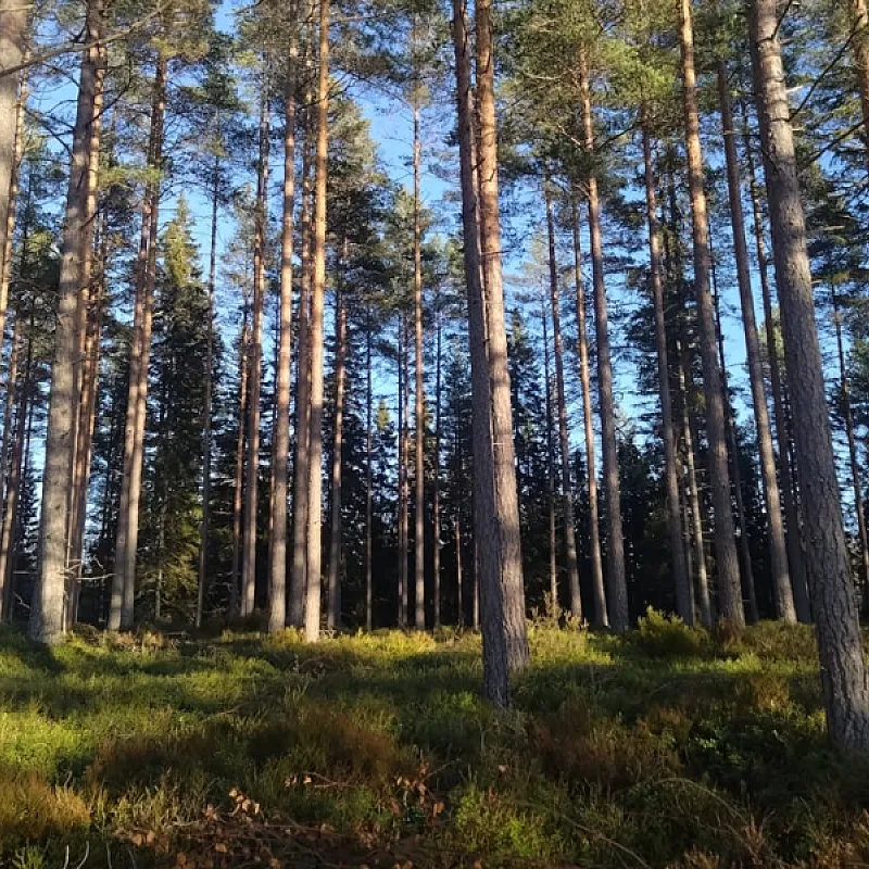 CRyiMlvKgDscz8iateNlE9EBkUdYi39cmyrAkRtN