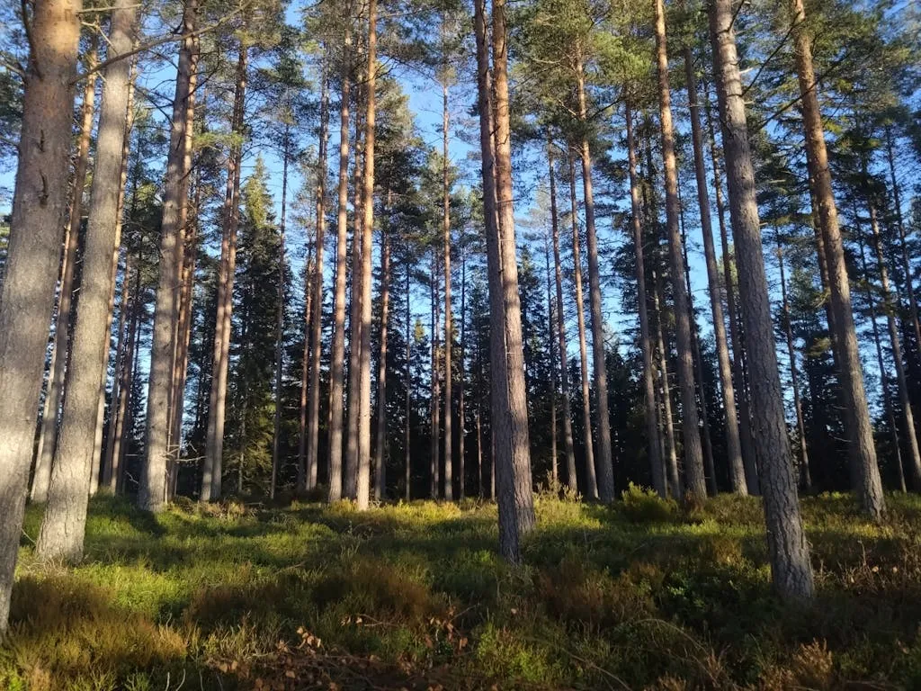 CRyiMlvKgDscz8iateNlE9EBkUdYi39cmyrAkRtN