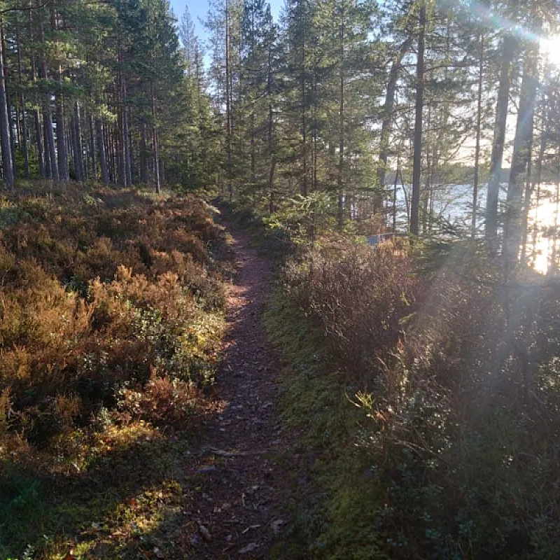 tQ2CoWxdBSMcsx63tYRYfuaShDplkjW4L6K5cEiE