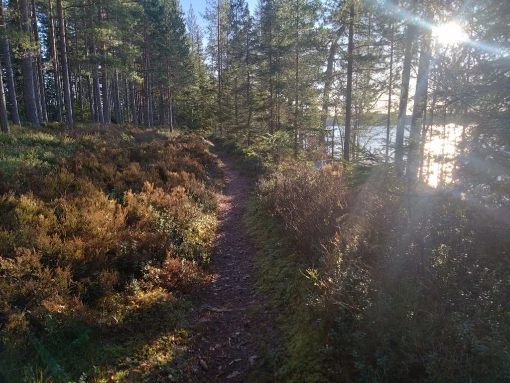 tQ2CoWxdBSMcsx63tYRYfuaShDplkjW4L6K5cEiE