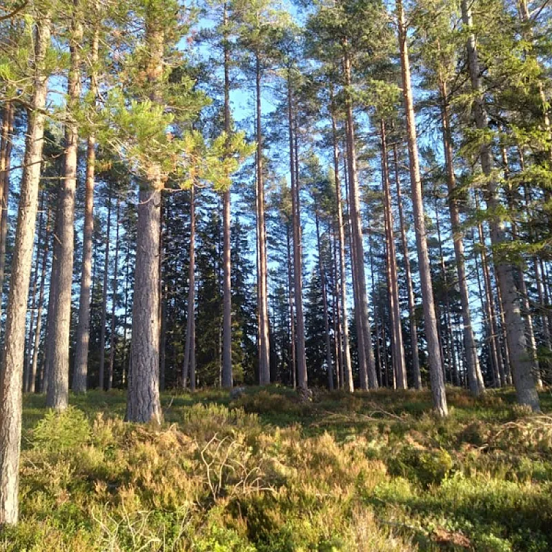 g7vVQusl6XkkRepOGHt5iRkyB7FR0xjFAJHWamyh